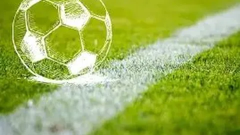 比甲转会风云榜：措利斯以3000万欧领跑，小斯坦科维奇闪耀登场！