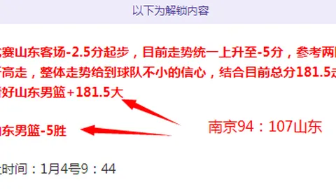 篮球赛事解析：火箭与湖人详细分析及专家推荐